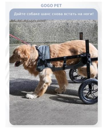 Wheelchair for dog paws - Buy Online on GoSupps.com