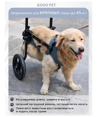 Wheelchair for dog paws - Buy Online on GoSupps.com