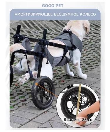 Wheelchair for dog paws - Buy Online on GoSupps.com
