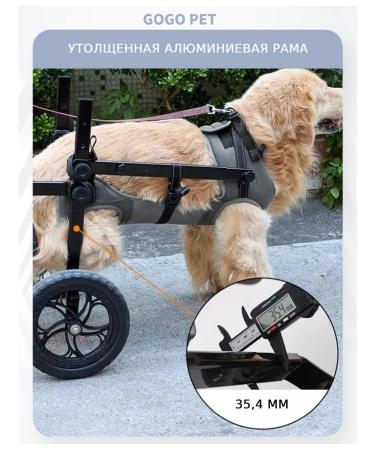 Wheelchair for dog paws - Buy Online on GoSupps.com