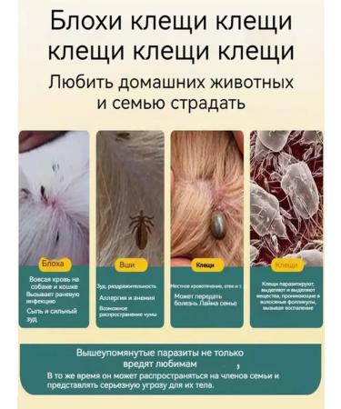 remedy for lichen for cats and dogs 100ml - Buy Online on GoSupps.com