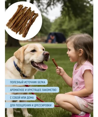 FOR DOG Cookies with dogs of beef - Buy Online on GoSupps.com