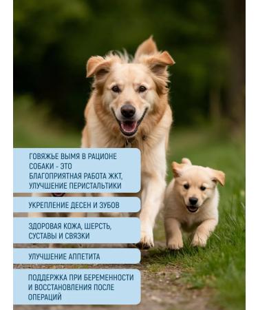 FOR DOG Cookies with dogs of beef - Buy Online on GoSupps.com