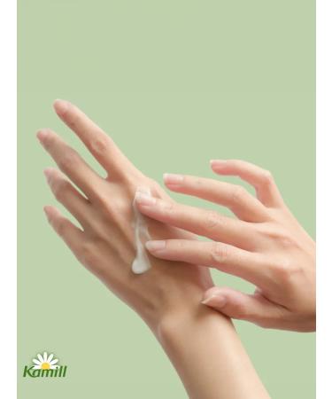 Kamill Herbal Cream hands and nail cream 100 ml. -2 pcs - Buy Online on GoSupps.com