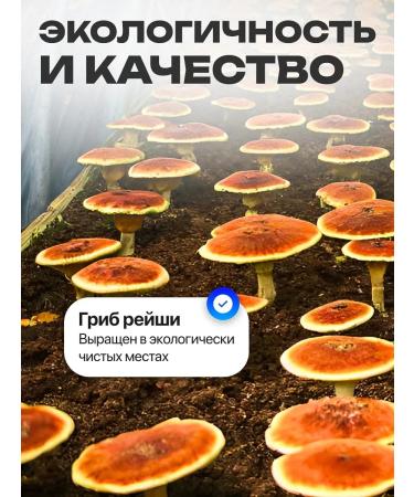 FooExtractCorp Extra strength of male biocomplex for potency 60 table - Buy Online on GoSupps.com