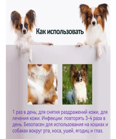 Spray for dogs and cats from itching and skin diseases 100ml - Buy Online on GoSupps.com