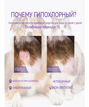 Spray for dogs and cats from itching and skin diseases 100ml - Buy Online on GoSupps.com