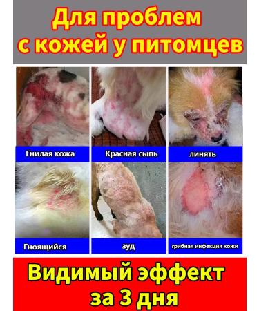 Spray for dogs and cats from itching and skin diseases 300ml