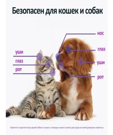 Spray for dogs and cats from itching and skin diseases 300ml - Buy Online on GoSupps.com