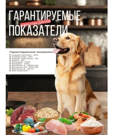 DILLY Feed for dogs dry 14 kg - Buy Online on GoSupps.com