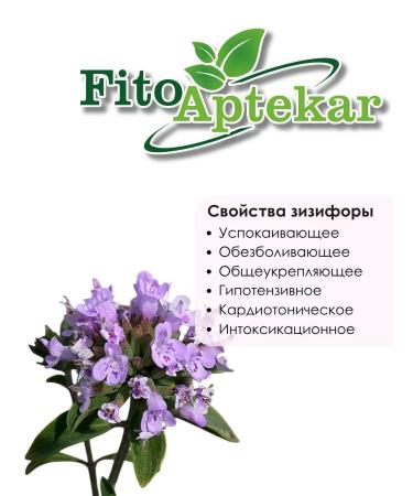 PHYTOAPTHECARIAN Zizifor Grass 500 grams - Buy Online on GoSupps.com