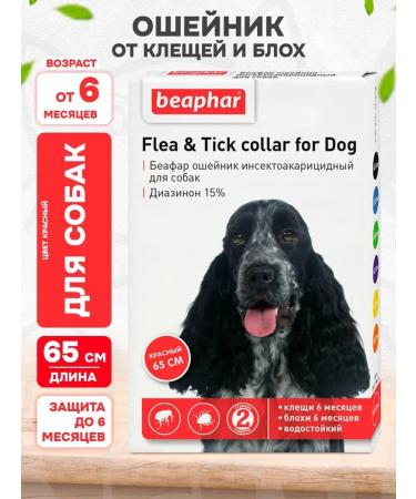beaphar Collar from ticks and fleas for dogs of all breeds red 65 cm