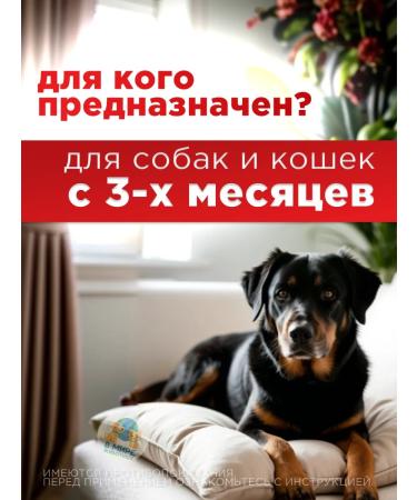 Neoterica Drops of celandine maximum for cats and dogs 5 ml - Buy Online on GoSupps.com