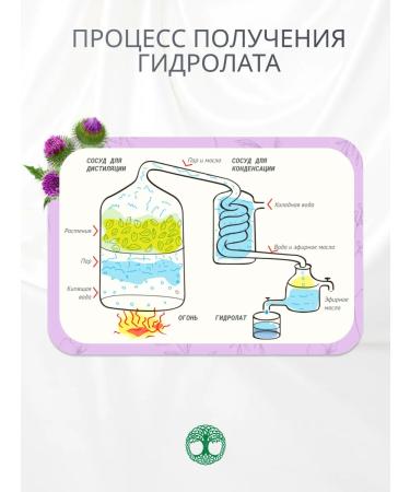 Herbal Symphony Hydrolate of the roof of burdock natural 100 ml - Buy Online on GoSupps.com