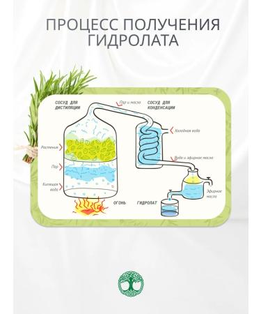 Herbal Symphony Rosemary hydrolate natural 100 ml - Buy Online on GoSupps.com