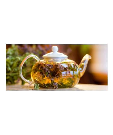 Oregano herbal tea - Buy Online on GoSupps.com
