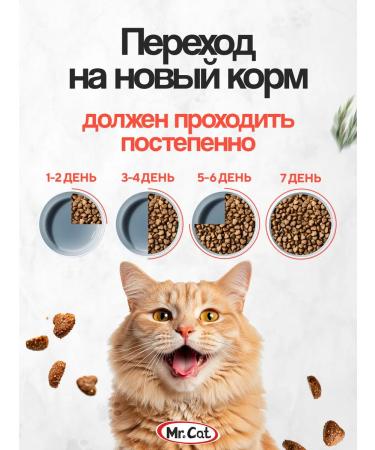 Mr Cat Feed for cats dry 10 kg appetizing turkey - Buy Online on GoSupps.com