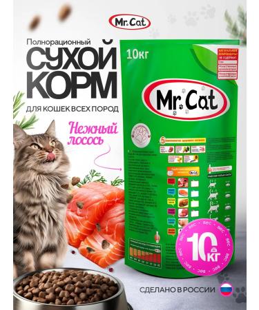 Mr Cat Dry food of 10 kg Dry Salmon