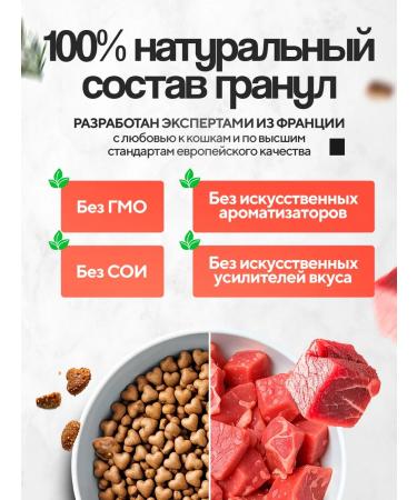 Mr Cat Cotton Cricking Cricking Kurochka - Buy Online on GoSupps.com