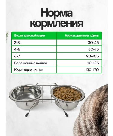 Mr Cat Cotton Cricking Cricking Kurochka - Buy Online on GoSupps.com