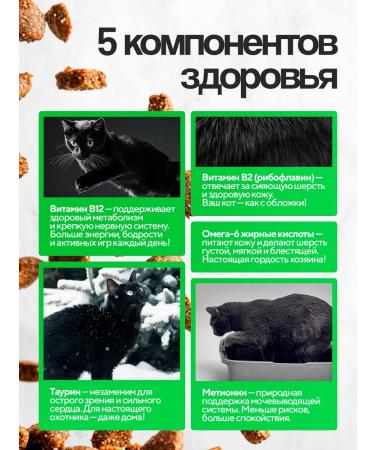 Mr Cat Cotton Cricking Cricking Kurochka - Buy Online on GoSupps.com