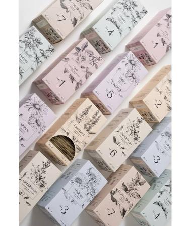 NL Donna Bella Fitochai - Donna Bella Bella Phytochis - Buy Online on GoSupps.com