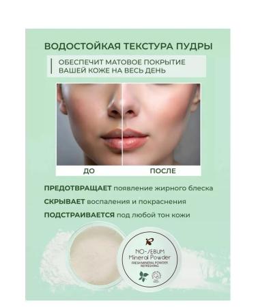 Mineral Facial Powder Conceler matting compact 2 ... - Buy Online on GoSupps.com