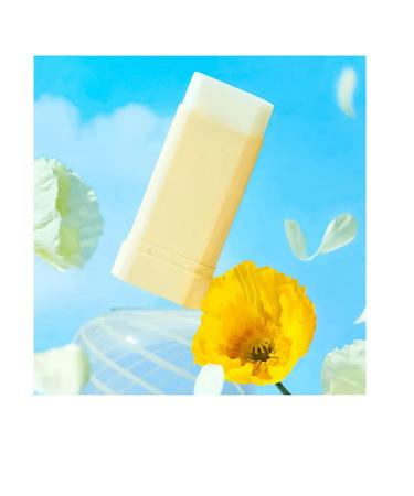 tocobo Sunscreen stick Vita Waterproof Sun Stick SPF50+PA ++++ - Buy Online on GoSupps.com