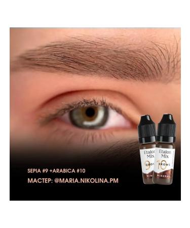 PigmentMax Standard Mix Pigment Mineral No. 10 Arabica - Buy Online on GoSupps.com