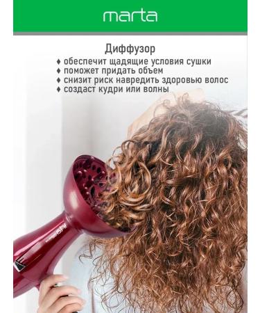 FanMax Hair hair dryer professional ion with a diffuser 2600 watts