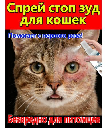 Spray from itching and dermatitis for dogs and cats 100 ml