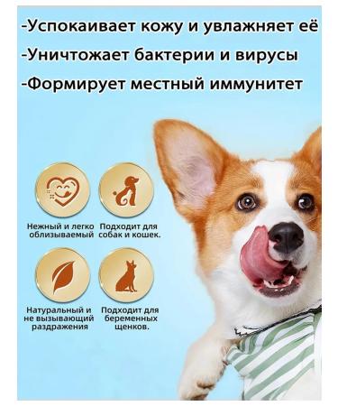 Spray from itching and dermatitis for dogs and cats 100 ml - Buy Online on GoSupps.com