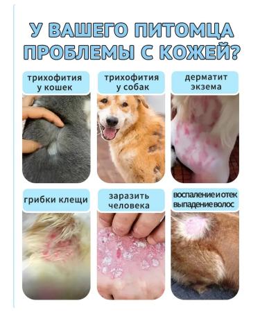 Spray from itching and dermatitis for dogs and cats 100 ml - Buy Online on GoSupps.com