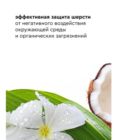 Pamilee Grom for Cats Extracoat - Buy Online on GoSupps.com