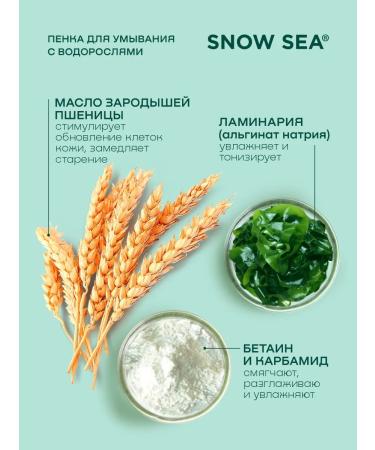 SNOW SEA Foam for washing with algae 160 ml - Buy Online on GoSupps.com