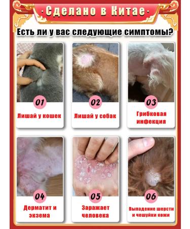 Spray from the feet of itching for dogs and dermatitis and cats 100 ml - Buy Online on GoSupps.com