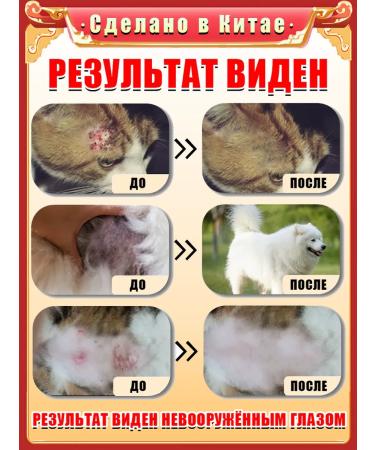 Spray from the feet of itching for dogs and dermatitis and cats 100 ml - Buy Online on GoSupps.com