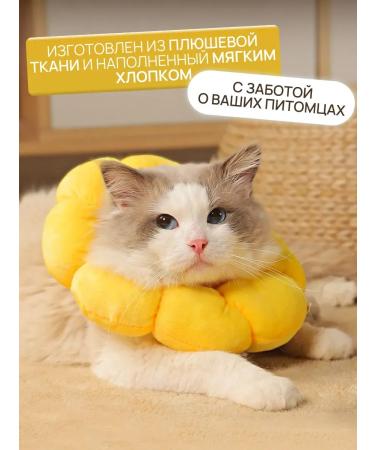 Veterinary collar for cats and dogs "Flower" - Buy Online on GoSupps.com