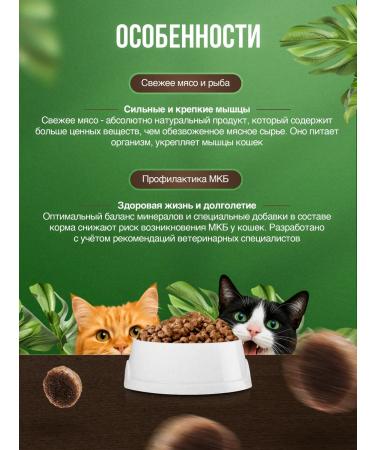 BLITZ Dry food for sterilized cats duck and rabbit 5kg - Buy Online on GoSupps.com