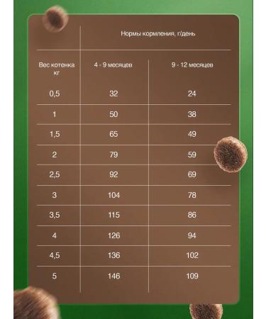 BLITZ Dry food for kittens up to 12 months turkey and fish 5kg - Buy Online on GoSupps.com