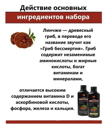 Cosmetics Shampoo and air conditioning for dark hair growth 2*200 ml - Buy Online on GoSupps.com