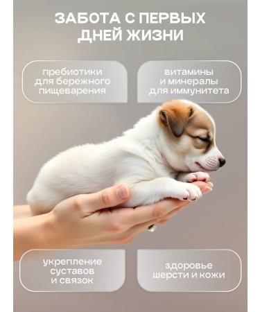 cosmodog Dry food for puppies with beef 2 kg - Buy Online on GoSupps.com