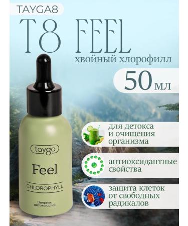 VILAVI T8 Feel concentrate coniferous chlorophyll 100 ml