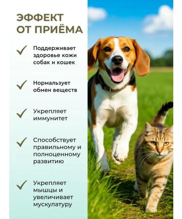 Vitrapets Vitamins for dogs by cats by VitalDerma Miniadult Dogsat 120t - Buy Online on GoSupps.com