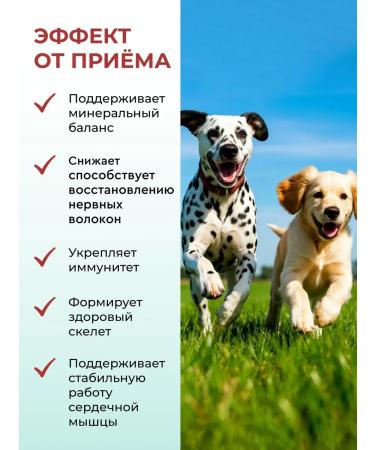 Vitrapets Vitamins for puppies and adult dogs Calcom Puppydog 120t - Buy Online on GoSupps.com
