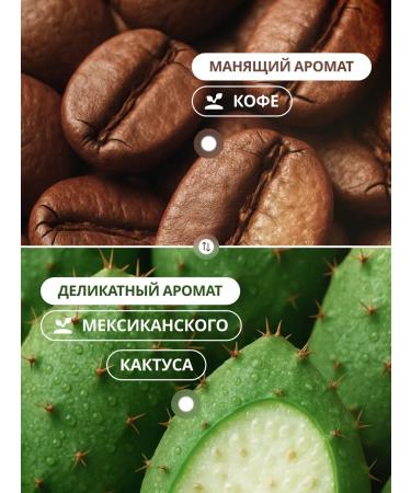 FABRIK Cosmetology A set of dry salt scrubs cactus+coffee 500 grams - Buy Online on GoSupps.com