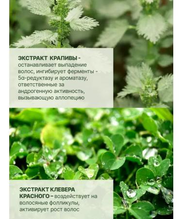 HaiconditionerMax Hair growth mask Professional care cosmetics - Buy Online on GoSupps.com