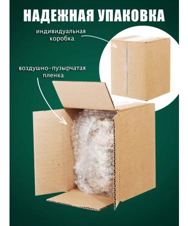 Natural mixed-herb honey 3 kg 2024 - Buy Online on GoSupps.com