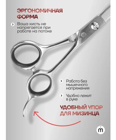 ThhairdresserscissorPro Hairdressers of professional professional 6.5 inches - Buy Online on GoSupps.com