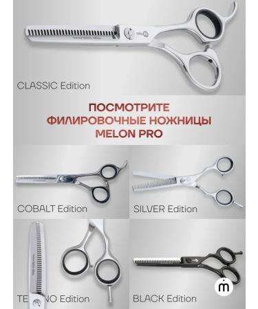 ThhairdresserscissorPro Hairdressers of professional professional 6.5 inches - Buy Online on GoSupps.com